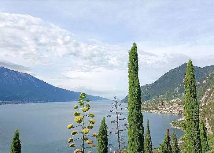 Centro Vacanze La Limonaia