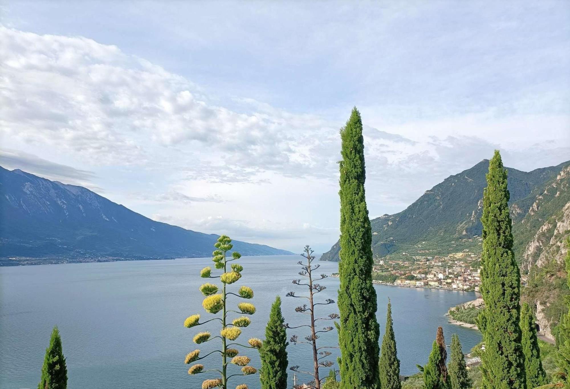 Centro Vacanze La Limonaia